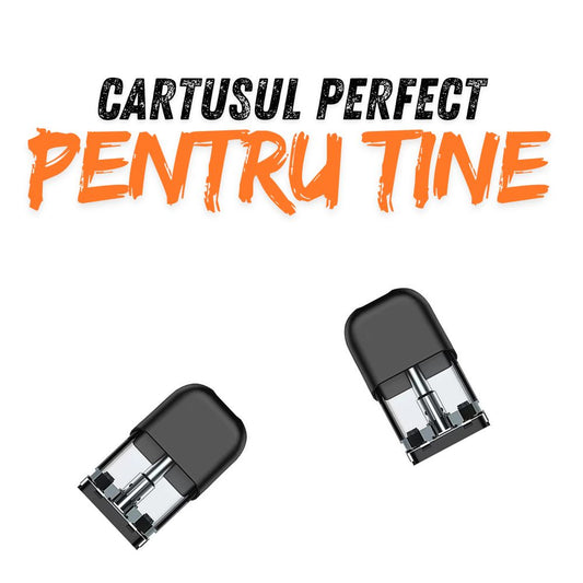 Cum Sa-Ti Alegi Cartusul Reincarcabil In Functie De Preferintele Tale